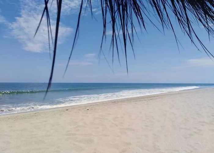 Palmeras De Bocapan, Tumbes